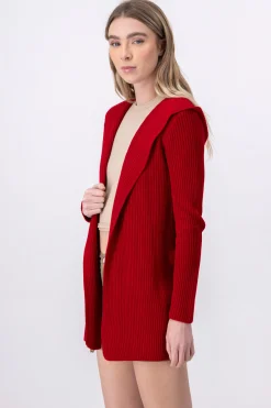 Shasa Cardigan with hoodie