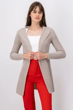 Shasa Cardigan with hoodie
