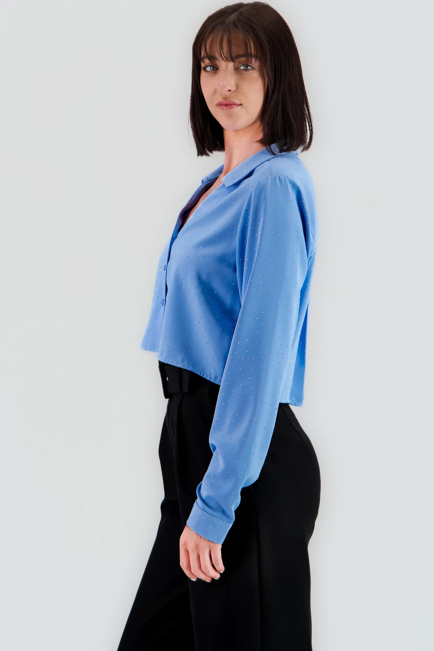 Shasa Cropped Long Sleeve Top
