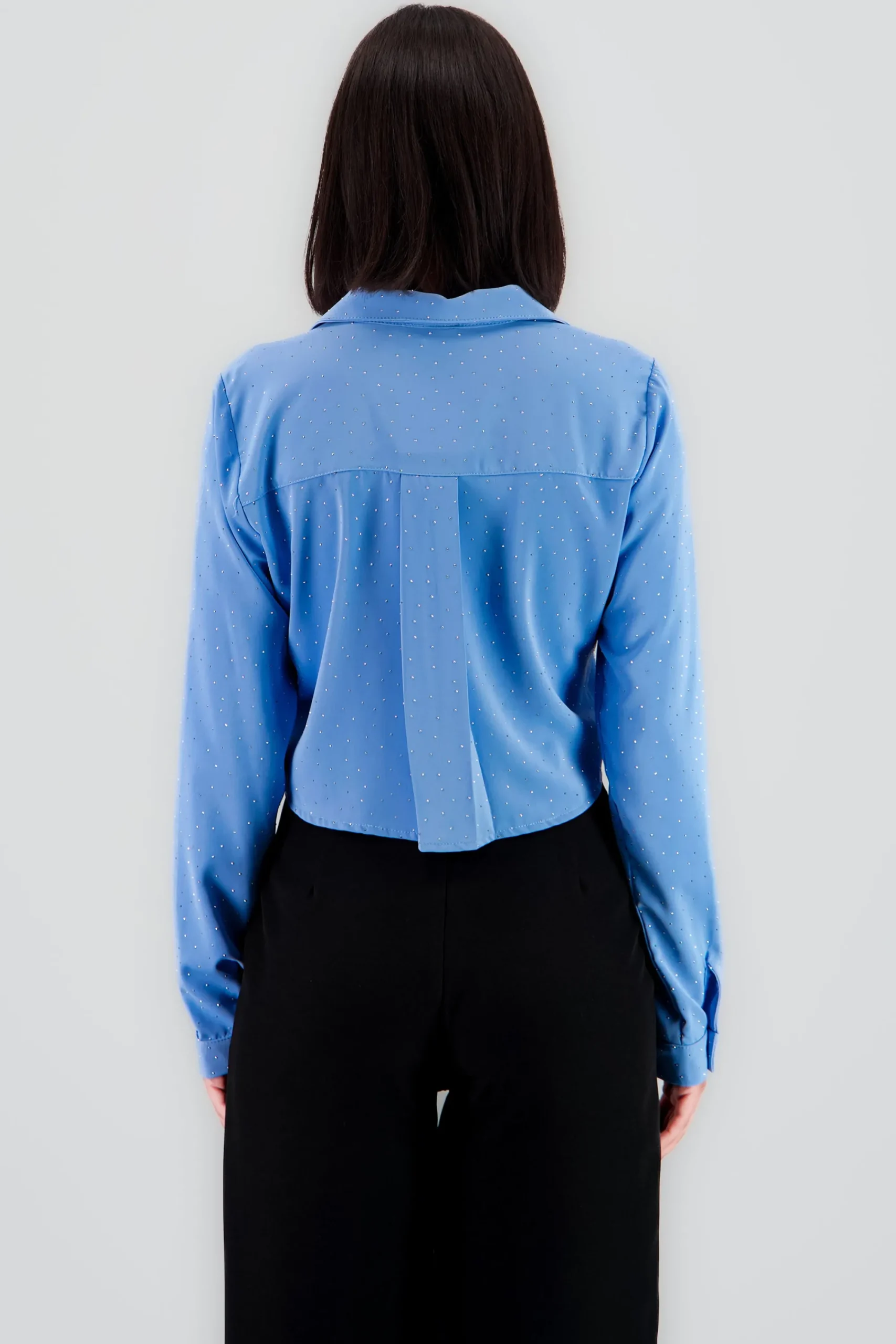 Shasa Cropped Long Sleeve Top