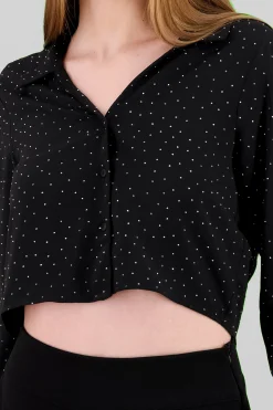 Shasa Cropped Long Sleeve Top