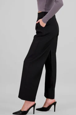 Shasa Double Pleats Straight Pants