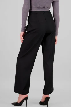 Shasa Double Pleats Straight Pants