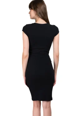 Shasa Fitted shortsleeved mini dress