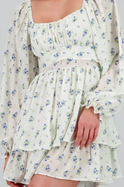 Shasa Floral Print Dress