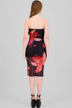 Shasa Floral Print Mesh Dress