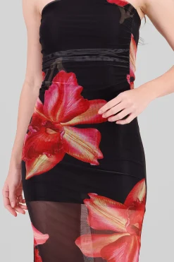 Shasa Floral Print Mesh Dress