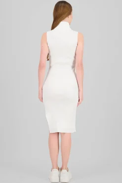 Shasa High Neck Knit Bodycon Dress