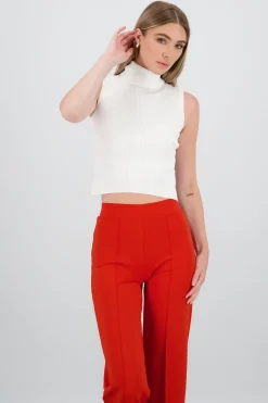 Shasa High Neck Ribbed Top