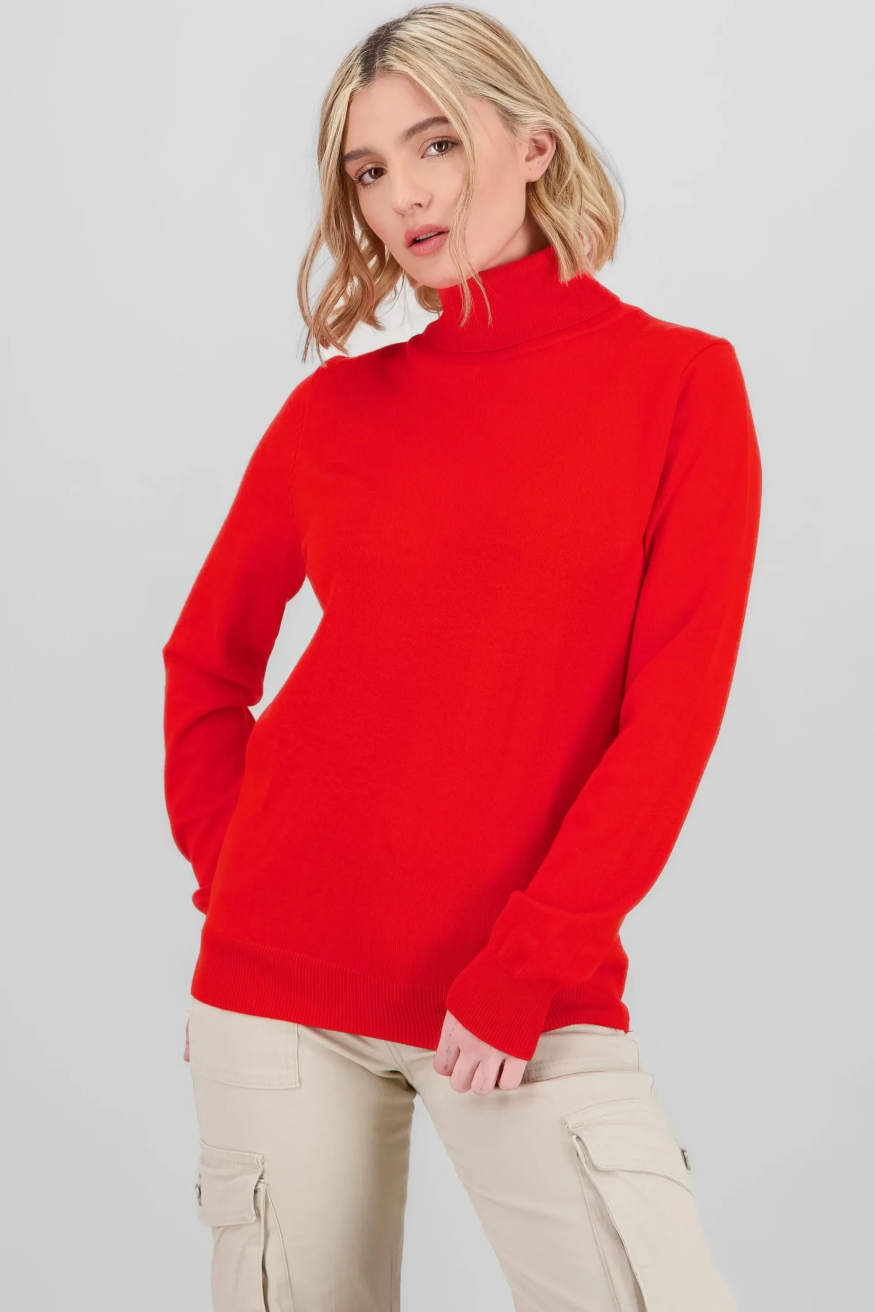 Shasa High Neck Soft Touch Sweater