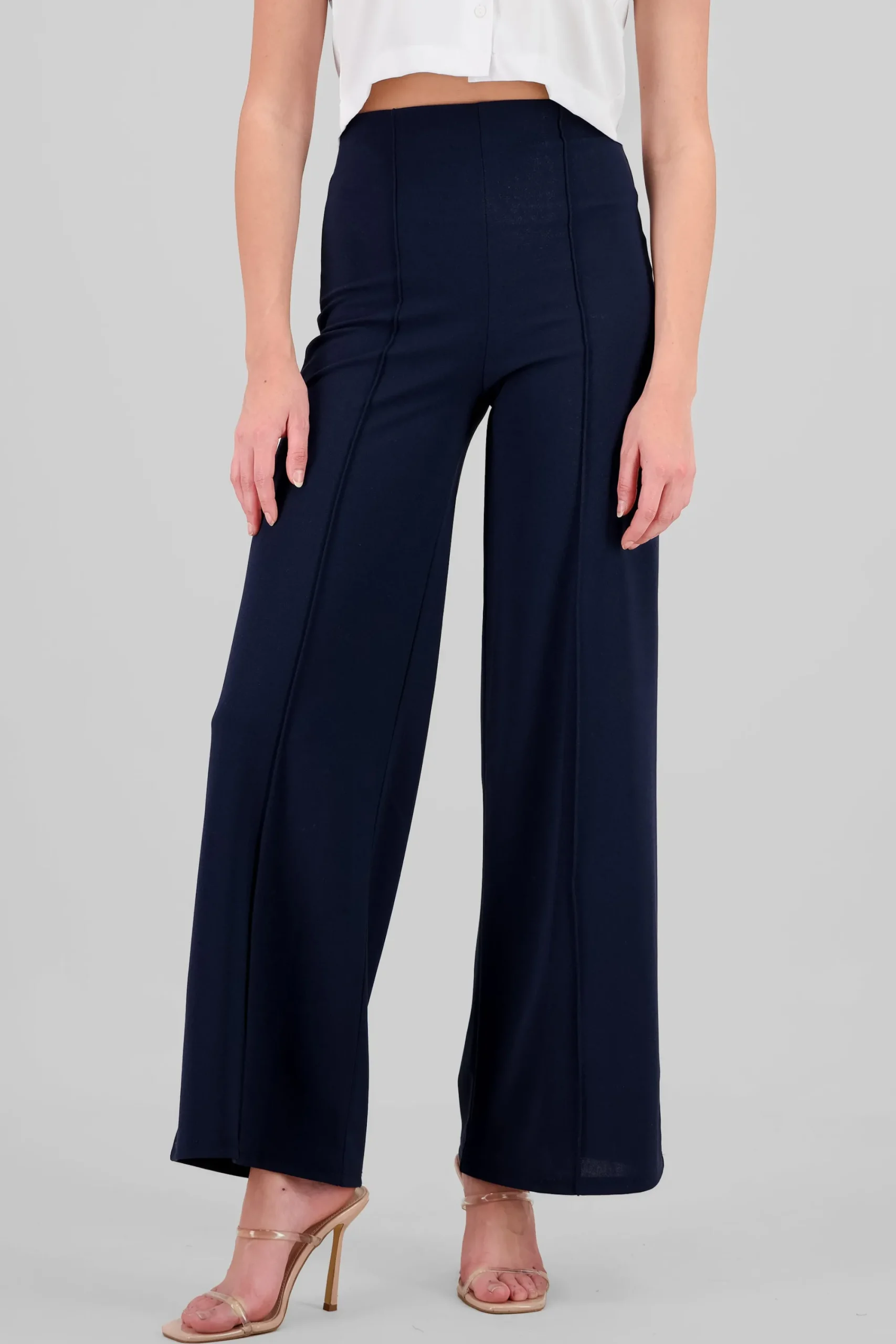 Shasa High Waist Wide Leg Pant