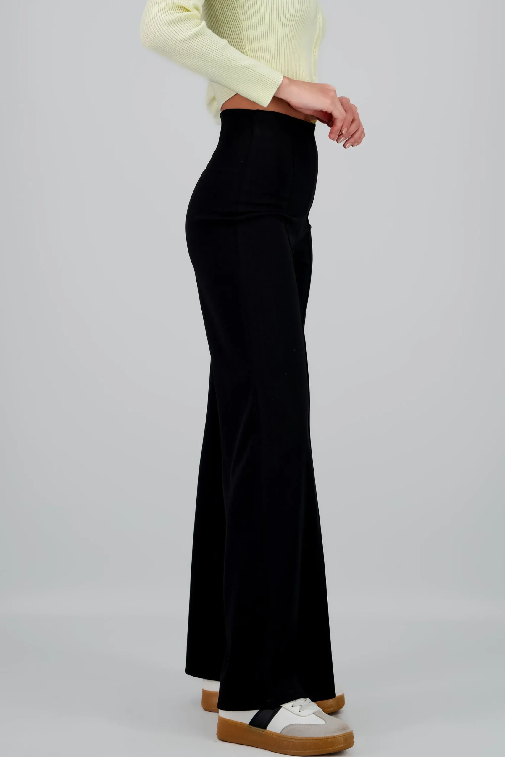 Shasa High Waist Wide Leg Pant