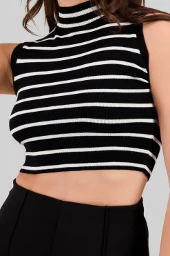 Shasa Knitted Striped High Neck Top