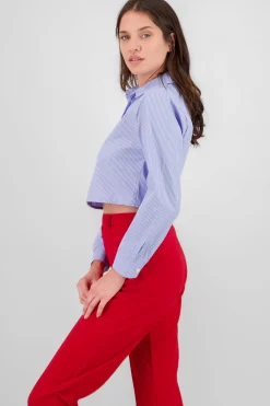 Shasa Long Sleeve Crop Striped Shirt
