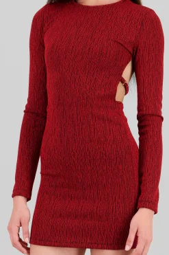 Shasa Long Sleeve Mini Dress