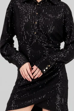 Shasa Long Sleeve Mini Dress