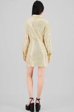 Shasa Long Sleeve Mini Dress