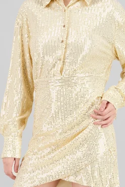 Shasa Long Sleeve Mini Dress