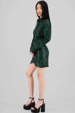 Shasa Long Sleeve Mini Dress