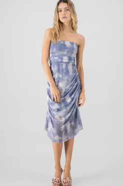 Shasa Mesh Midi Dress