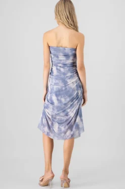 Shasa Mesh Midi Dress