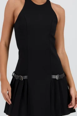Shasa Pleated Dress with Appliqués