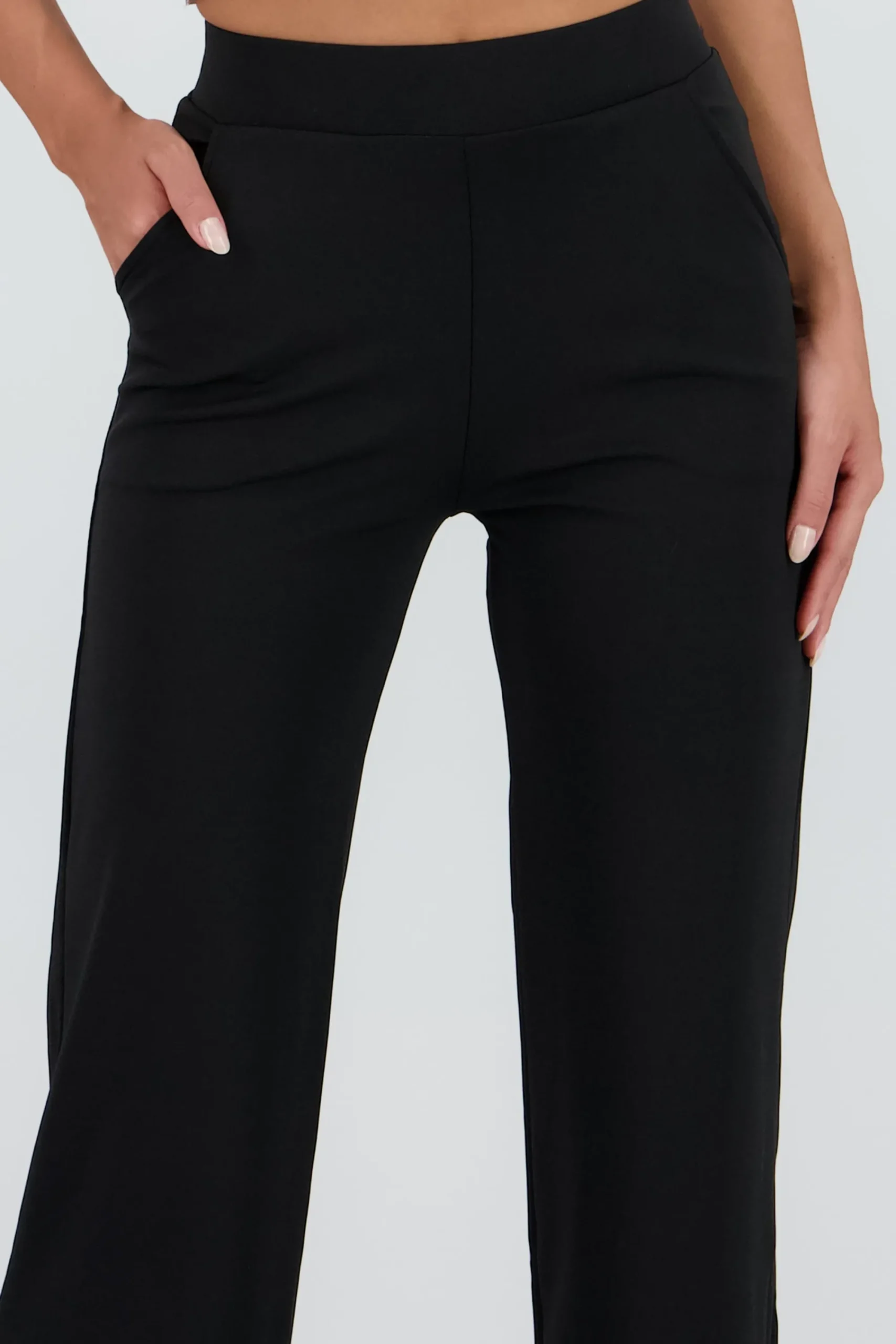 Shasa Pleated Tailored Pants