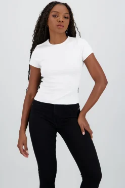 Shasa Pointelle Short Sleeve Top