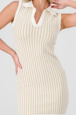 Shasa Polo Neck Striped Dress