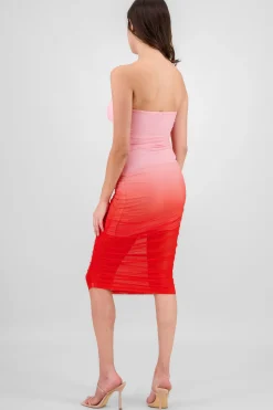 Shasa Ruched Ombre Mesh Dress