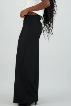 Shasa Seam Detail Wide Leg Pants