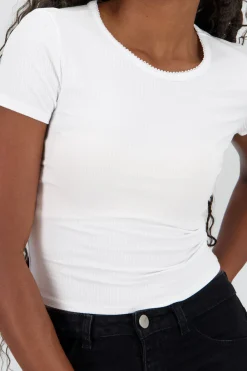 Shasa Short Sleeve Lace Neck Top