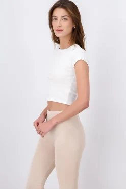 Shasa Short Sleeve Round Neck Rib Crop Top