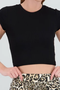 Shasa Short Sleeve Round Neck Rib Crop Top
