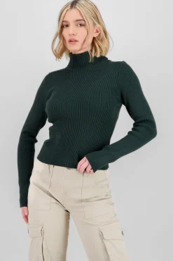 Shasa Solid Ribbed High Neck Sweater