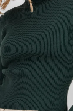 Shasa Solid Ribbed High Neck Sweater