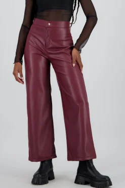 Shasa Straight Faux Leather Pants