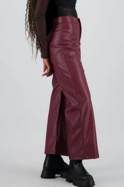 Shasa Straight Faux Leather Pants