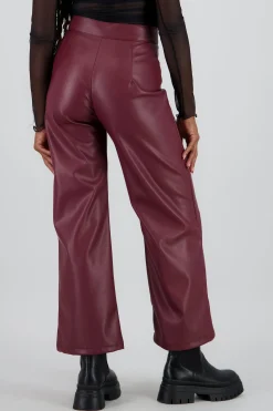 Shasa Straight Faux Leather Pants