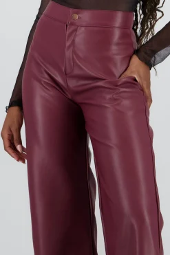 Shasa Straight Faux Leather Pants
