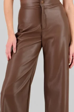 Shasa Straight Faux Leather Pants