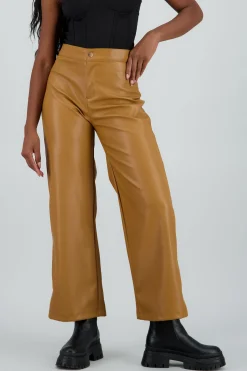 Shasa Straight Faux Leather Pants