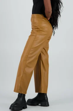 Shasa Straight Faux Leather Pants