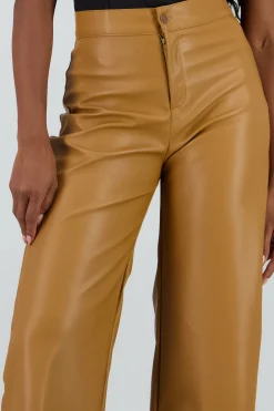 Shasa Straight Faux Leather Pants