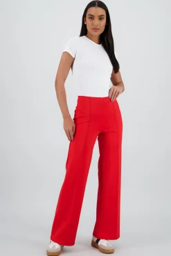 Shasa Straight Leg Pants with Seam Detail