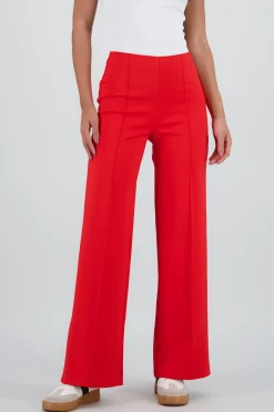 Shasa Straight Leg Pants with Seam Detail