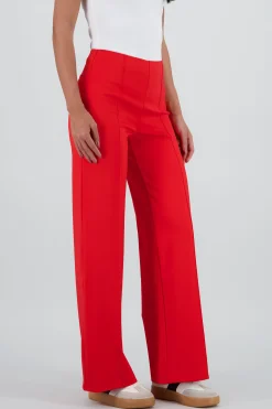 Shasa Straight Leg Pants with Seam Detail