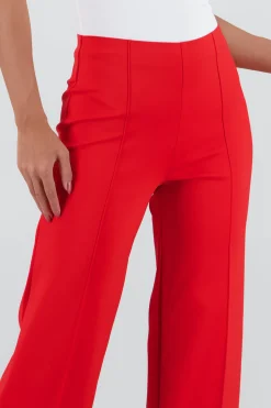 Shasa Straight Leg Pants with Seam Detail