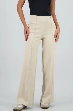 Shasa Straight Leg Pants with Seam Detail