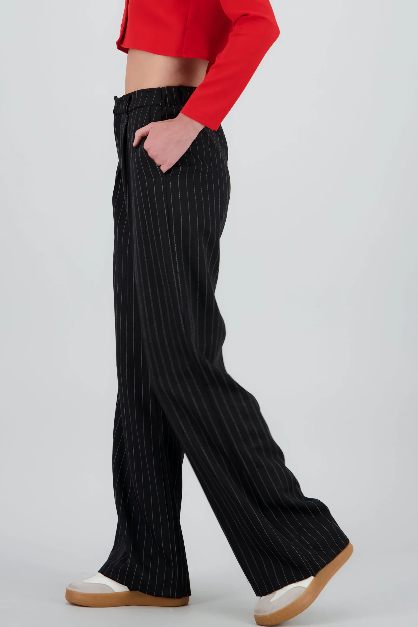 Shasa Straight Leg Pinstripe Pants